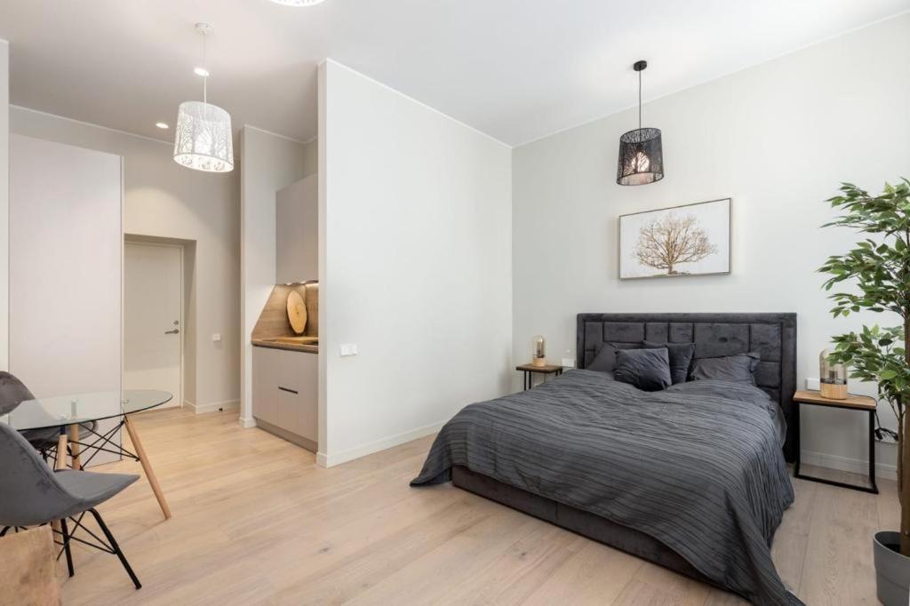 Kalnina Street Studio Apartment Рига Екстер'єр фото