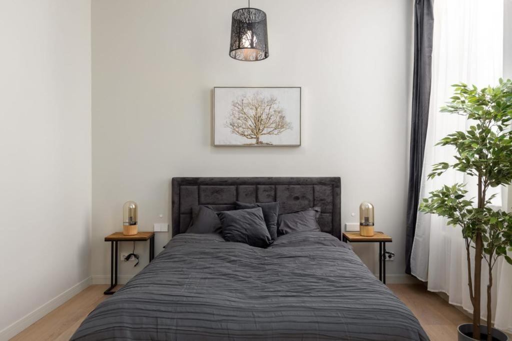 Kalnina Street Studio Apartment Рига Екстер'єр фото