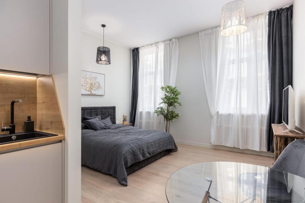 Kalnina Street Studio Apartment Рига Екстер'єр фото