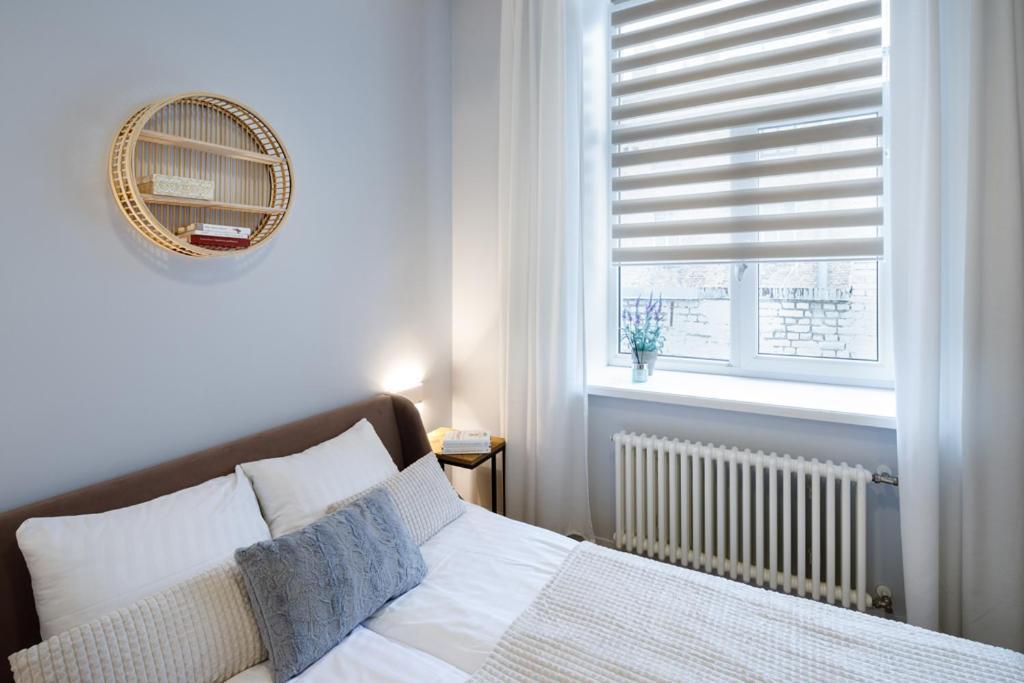 Kalnina Street Studio Apartment Рига Екстер'єр фото