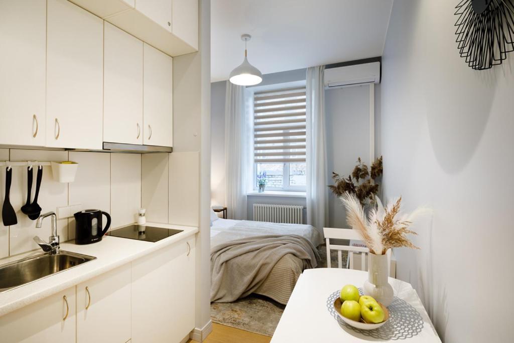 Kalnina Street Studio Apartment Рига Екстер'єр фото
