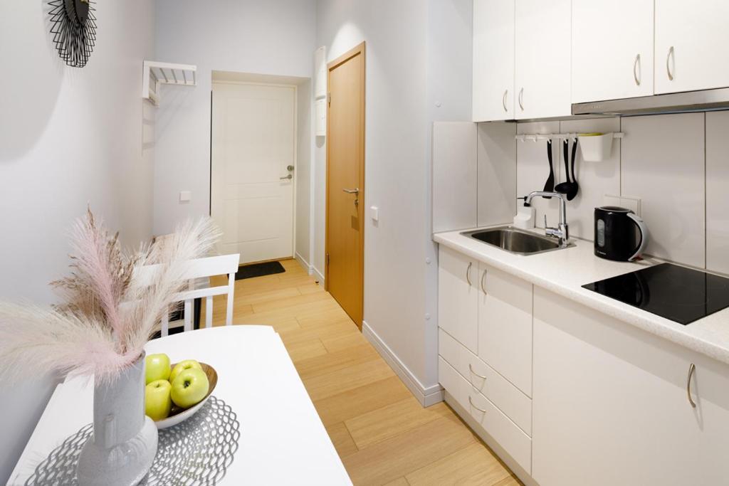 Kalnina Street Studio Apartment Рига Екстер'єр фото
