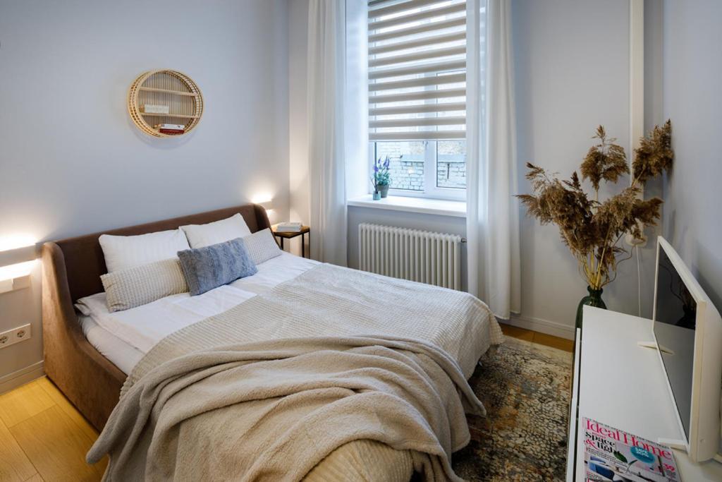 Kalnina Street Studio Apartment Рига Екстер'єр фото