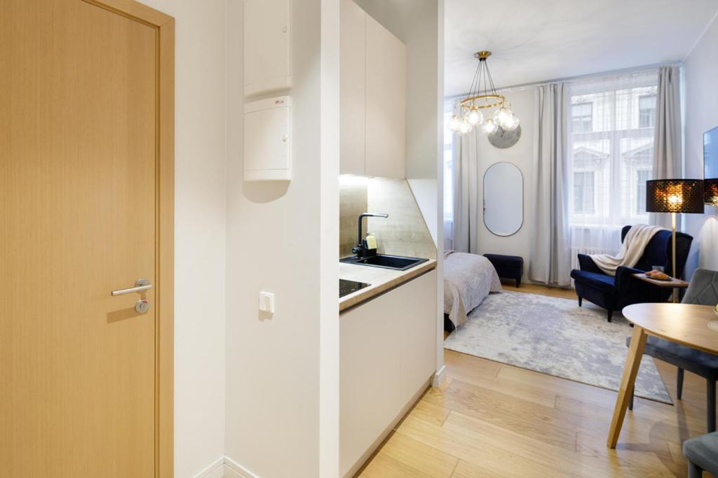 Kalnina Street Studio Apartment Рига Екстер'єр фото