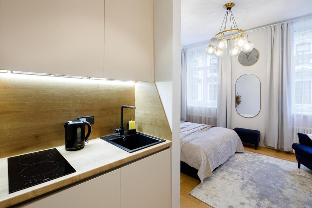 Kalnina Street Studio Apartment Рига Екстер'єр фото